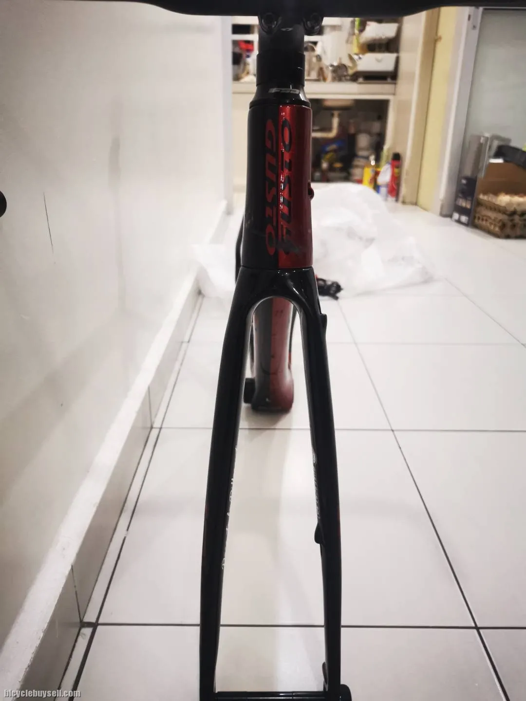 Full carbon frame Gusto RCR