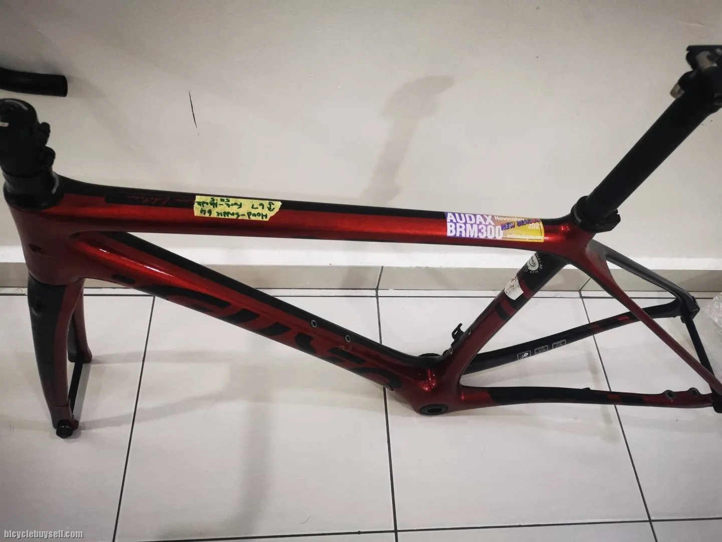 Full carbon frame Gusto RCR