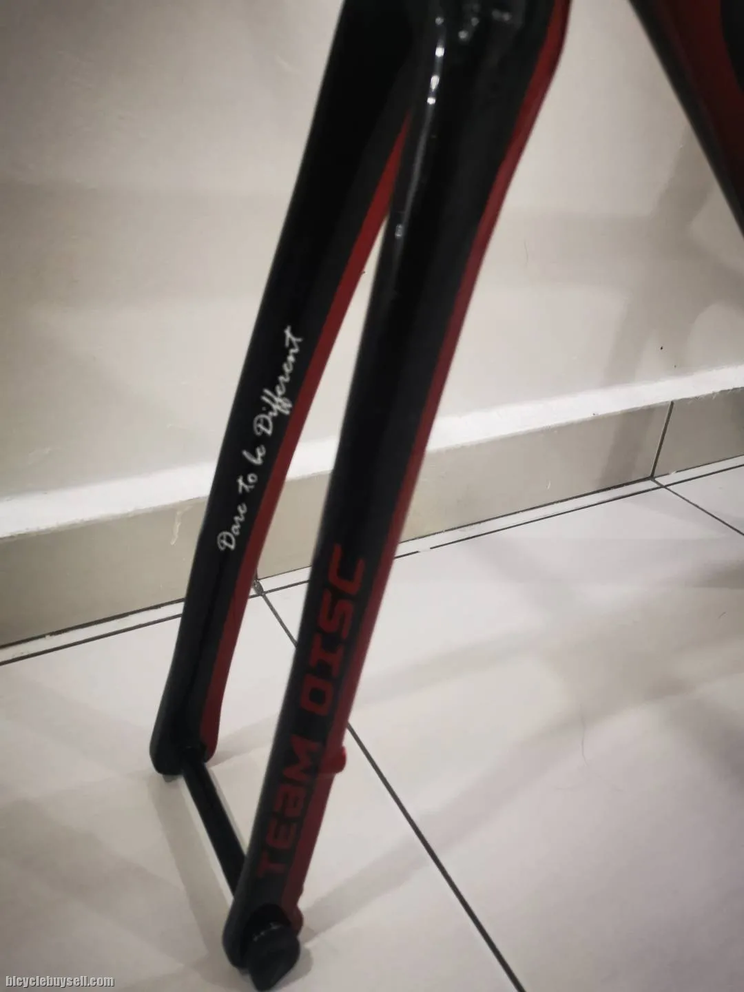 Full carbon frame Gusto RCR