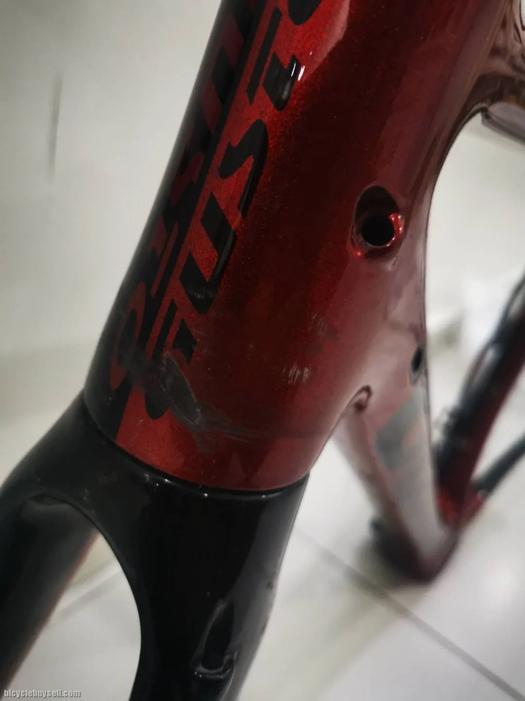 Full carbon frame Gusto RCR