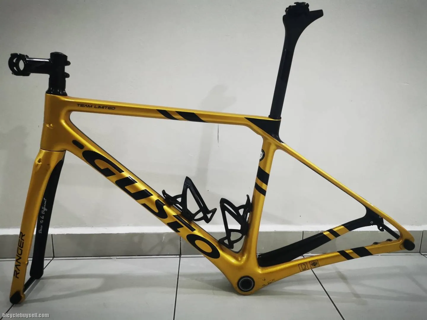 Gusto Ranger carbon frame
