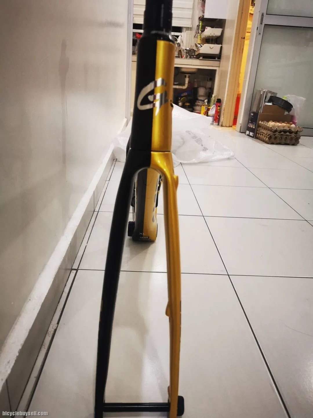 Gusto Ranger carbon frame