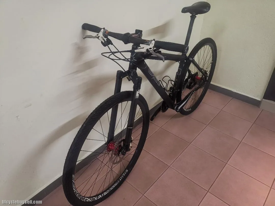 On One Scandal (29er with original carbon rigid fork)