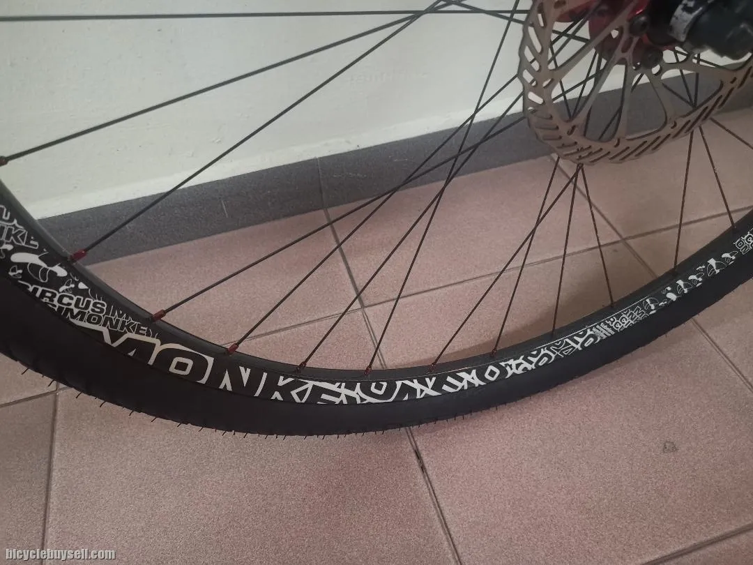 On One Scandal (29er with original carbon rigid fork)