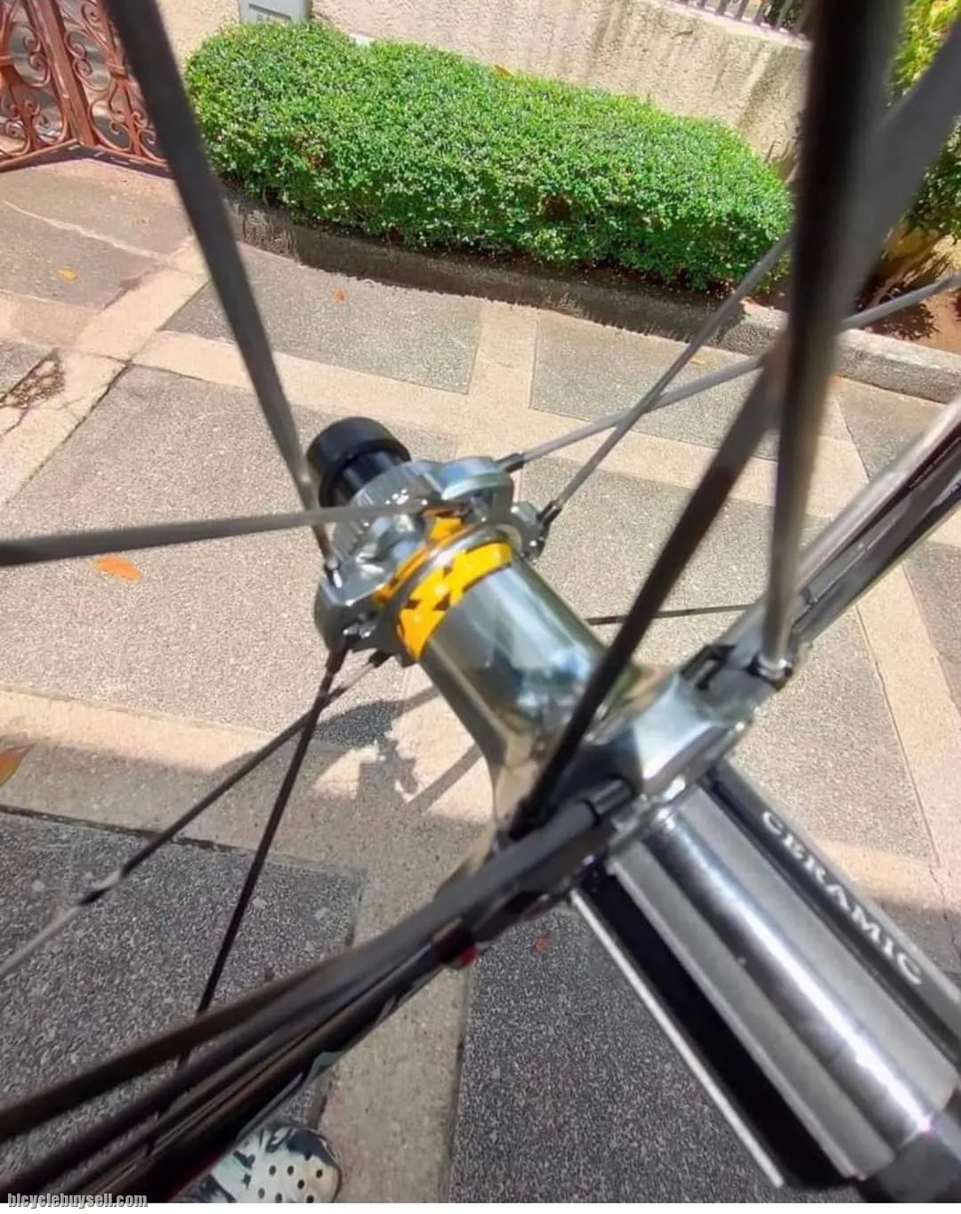 Drive_50V_Rim_Brake