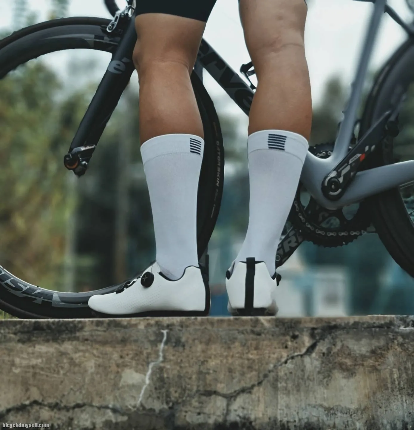 iSports Velo-Profile Cycling Socks