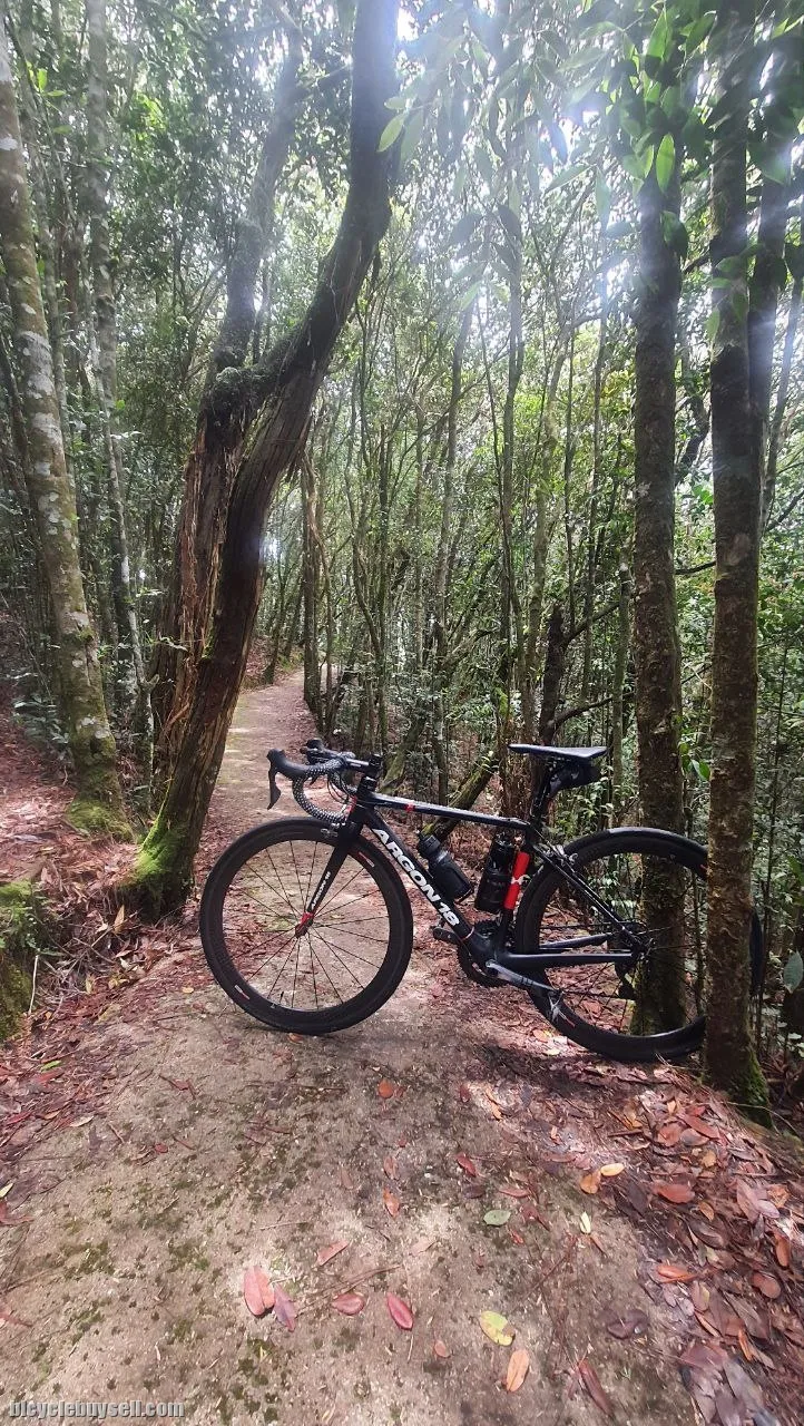 Argon 18 Krypton
