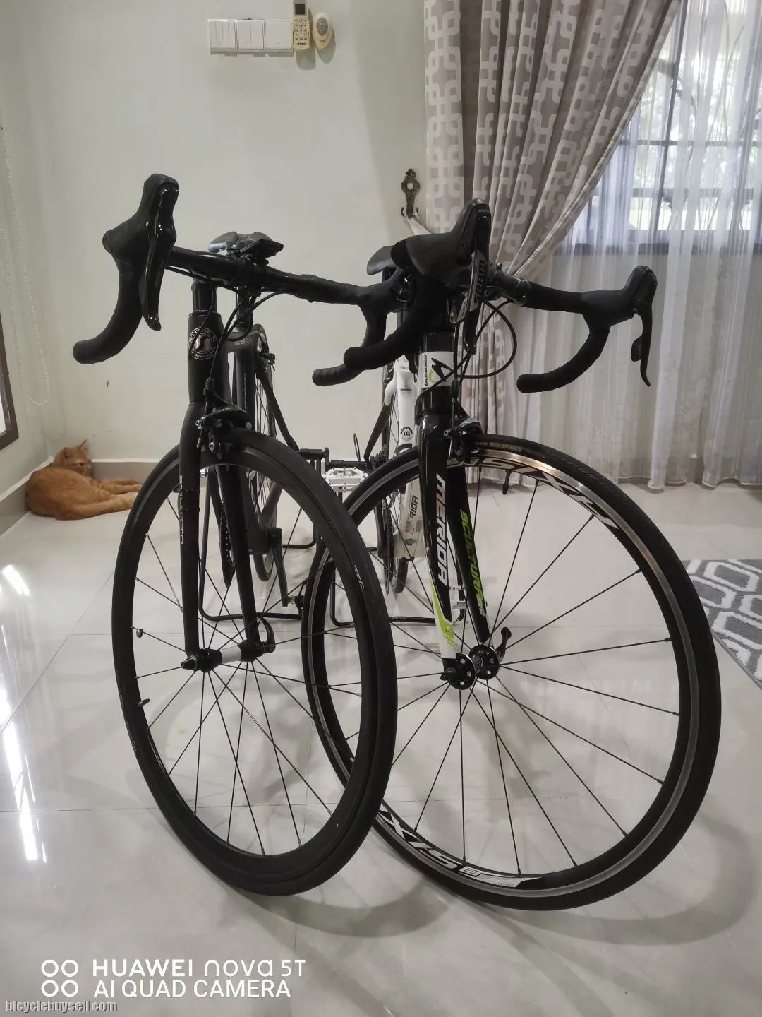 Storck Visioner &amp; Merida Scultura Evo