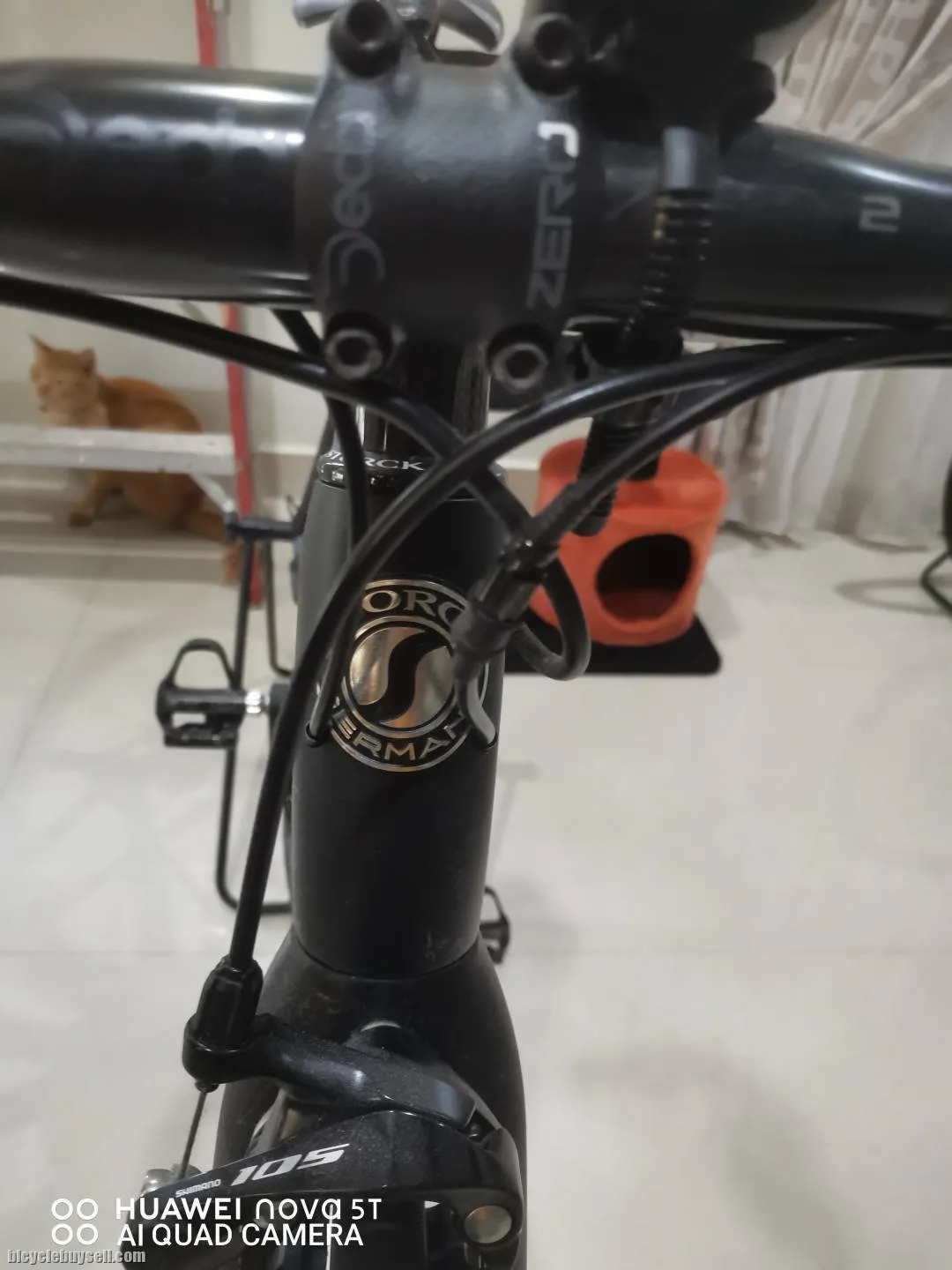 Storck Visioner &amp; Merida Scultura Evo