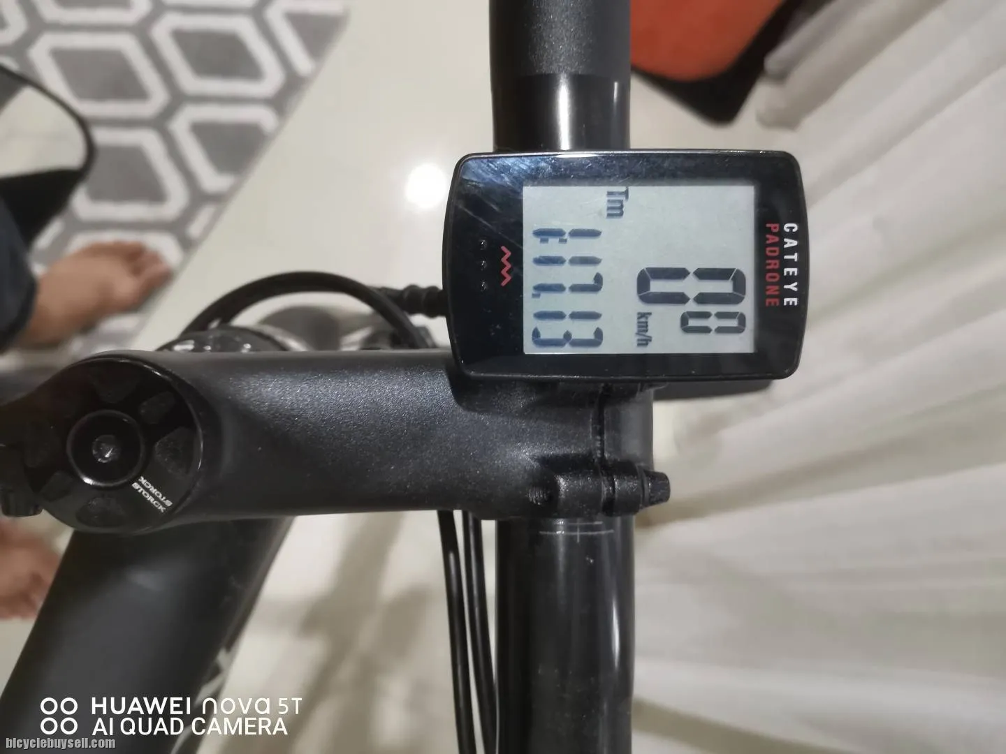 Storck Visioner &amp; Merida Scultura Evo