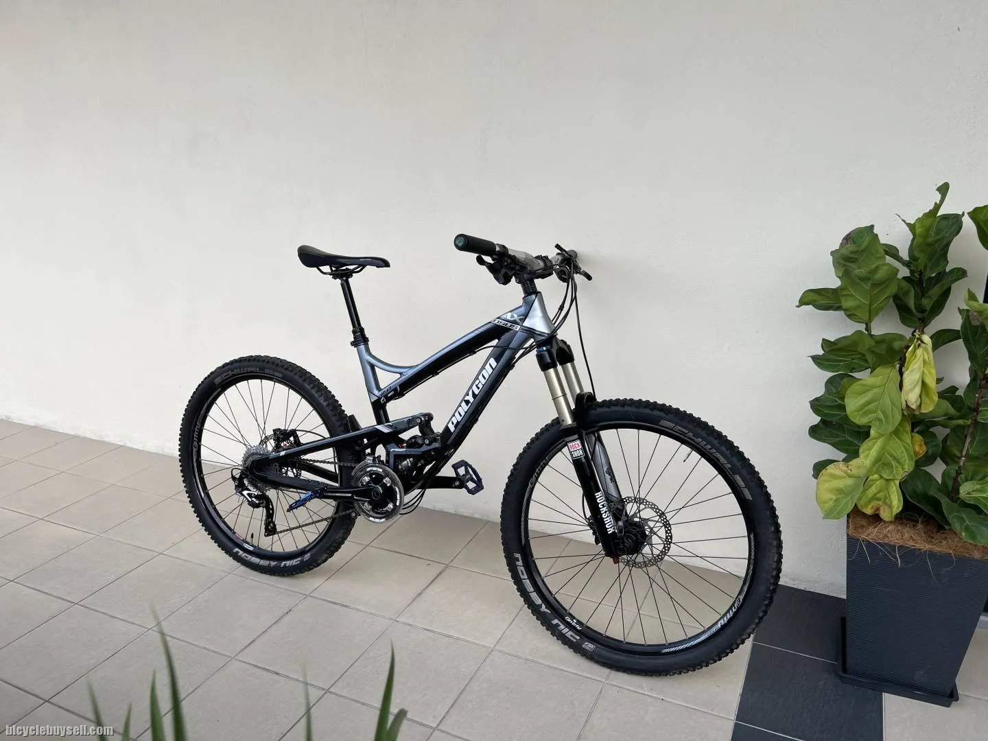 Polygon collosus AX 2.0