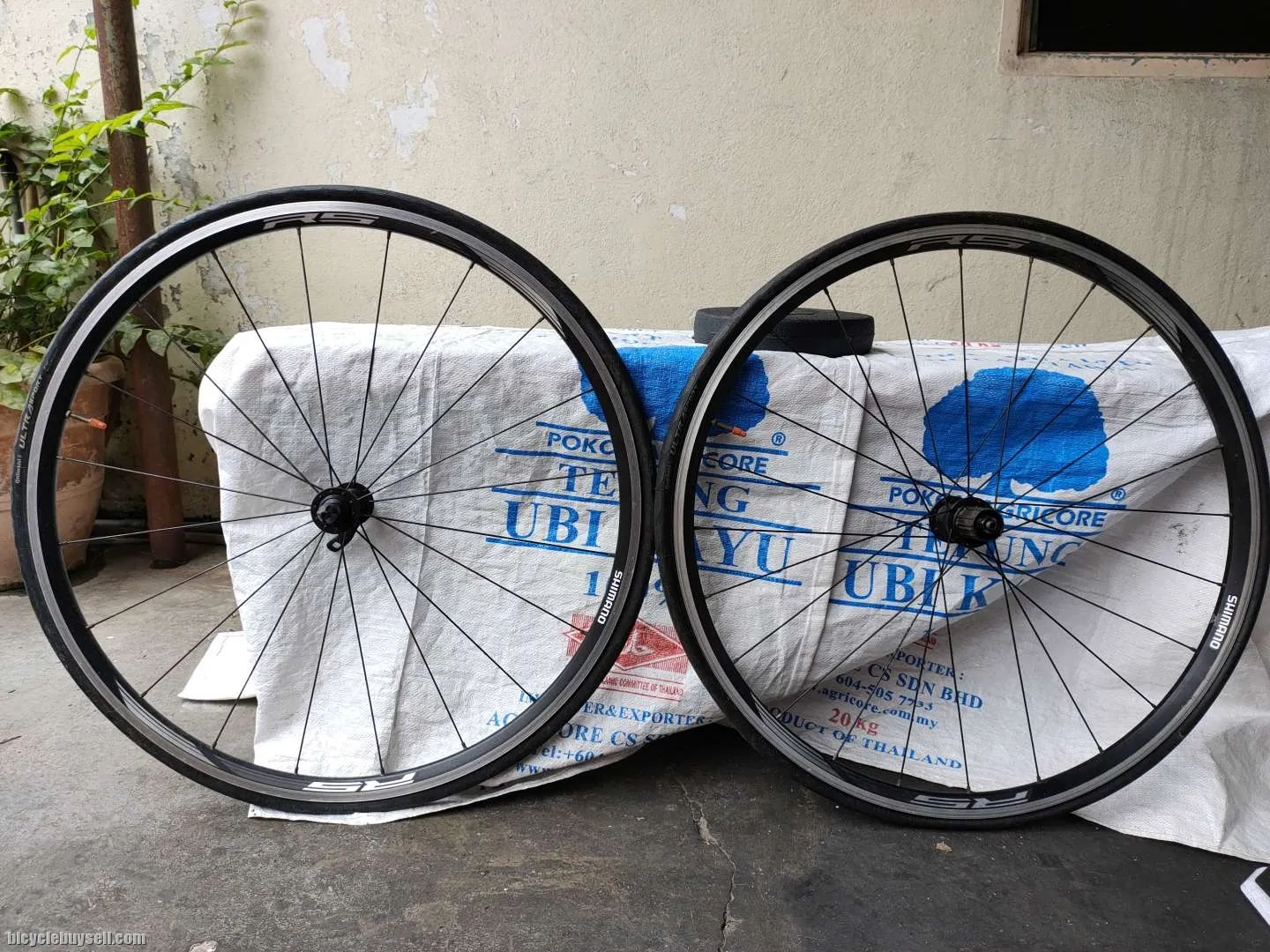 BMC time machine 02 (new customized paint)