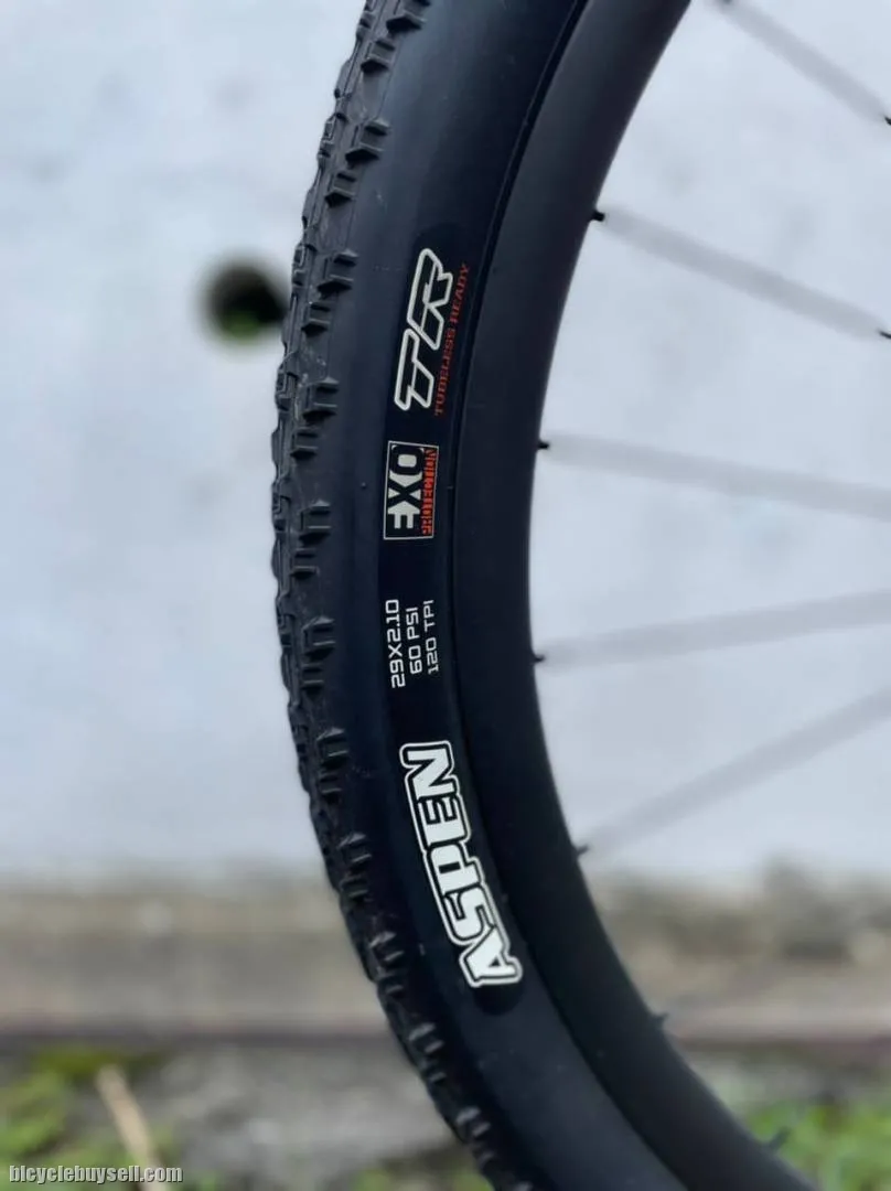 BMC twostroke AL Boost 29er