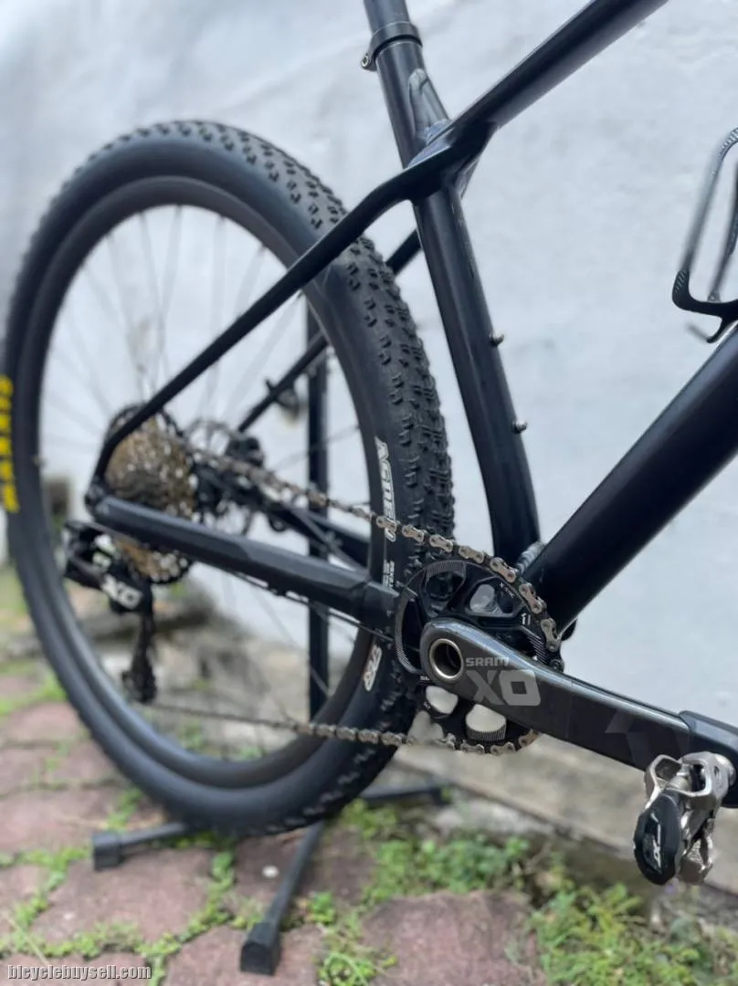 BMC twostroke AL Boost 29er