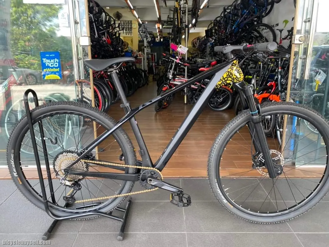 29er #Raleigh_MTB