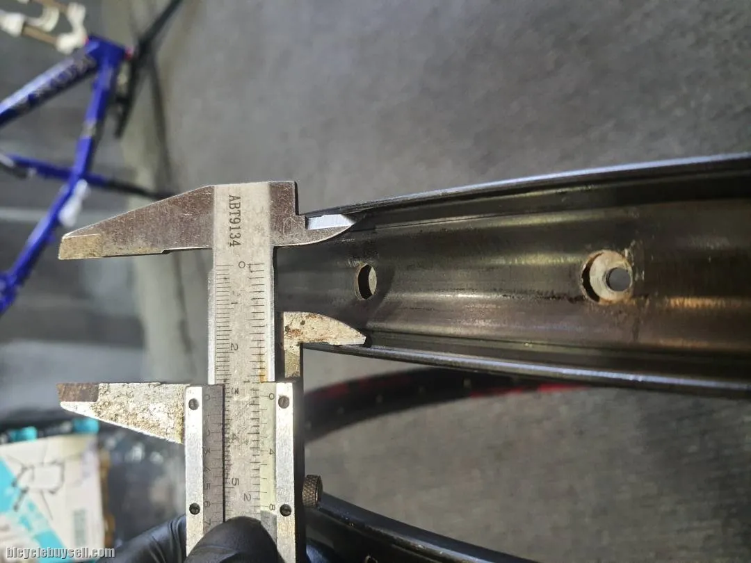 29inch Entity Tubeless Ready Rim 32H