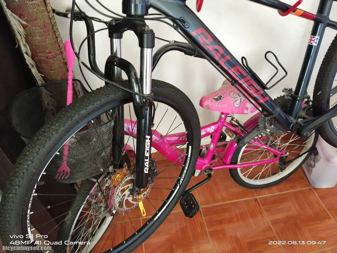 mountain bike raleigh