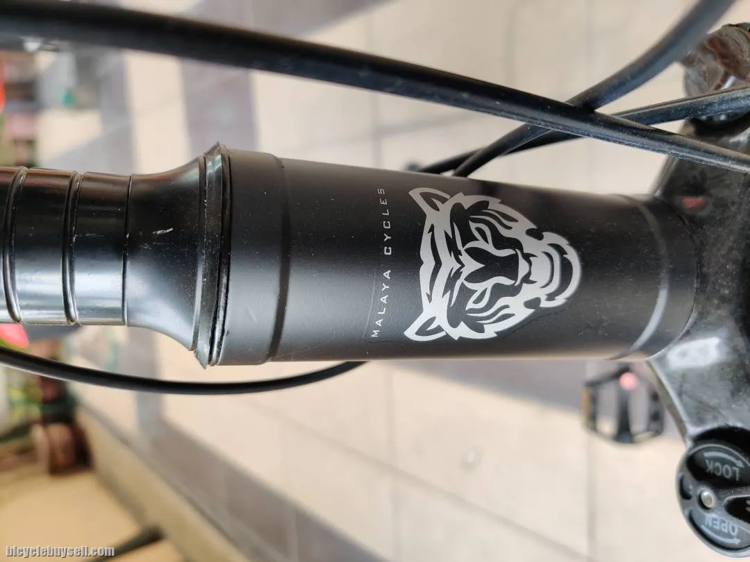 Malaya MTB 29" size 17