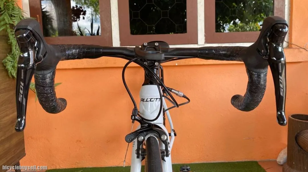 Alcott ascari lite