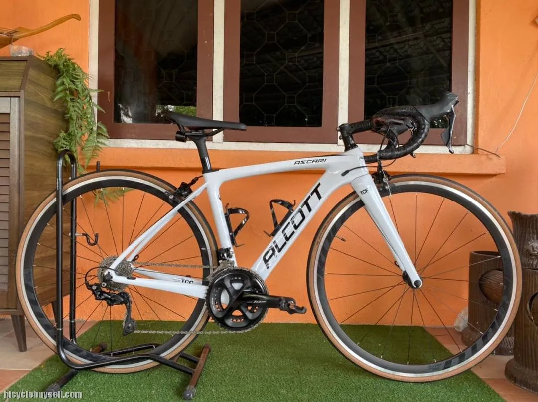 Alcott ascari lite