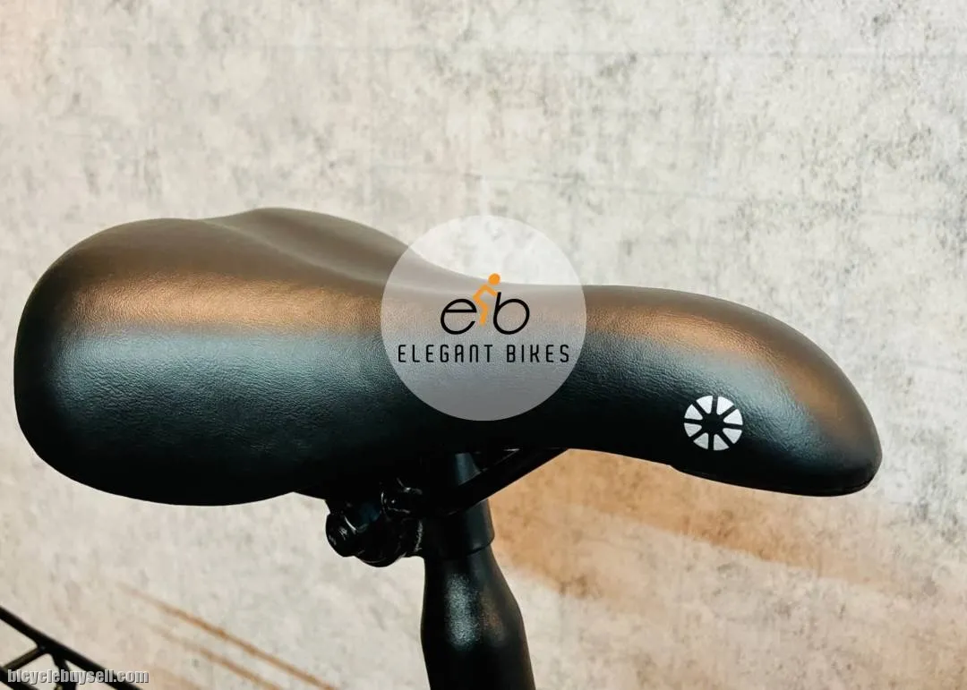 DAHON USA SUV D6 SPEED ALLOY FRAME 20"