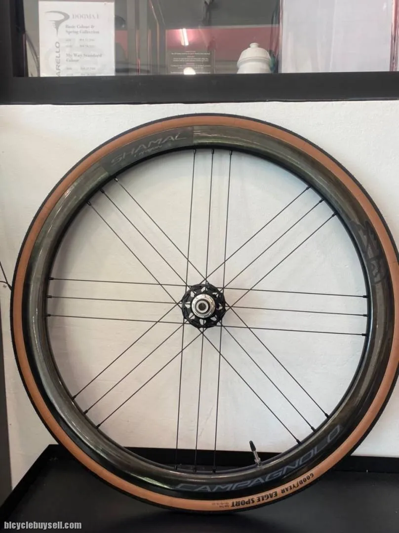 Campagnolo Shamal Carbon (Disc)