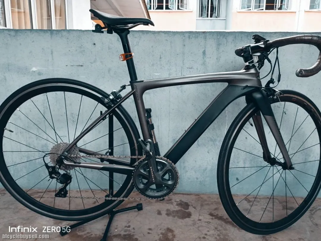 frameset roadbike alcott ascari