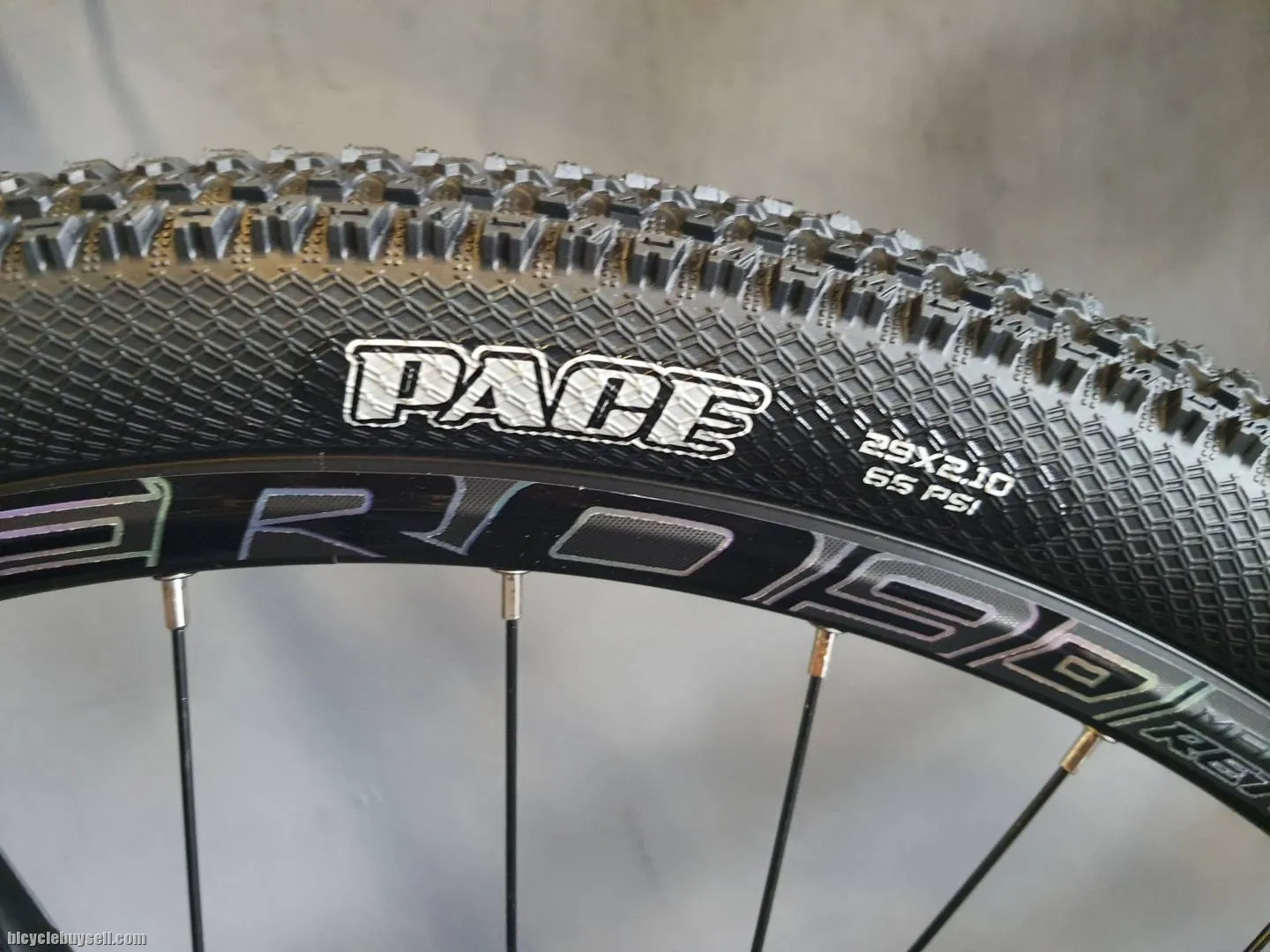 2022 TWITTER LEOPARD PRO RS 2X13SPEED