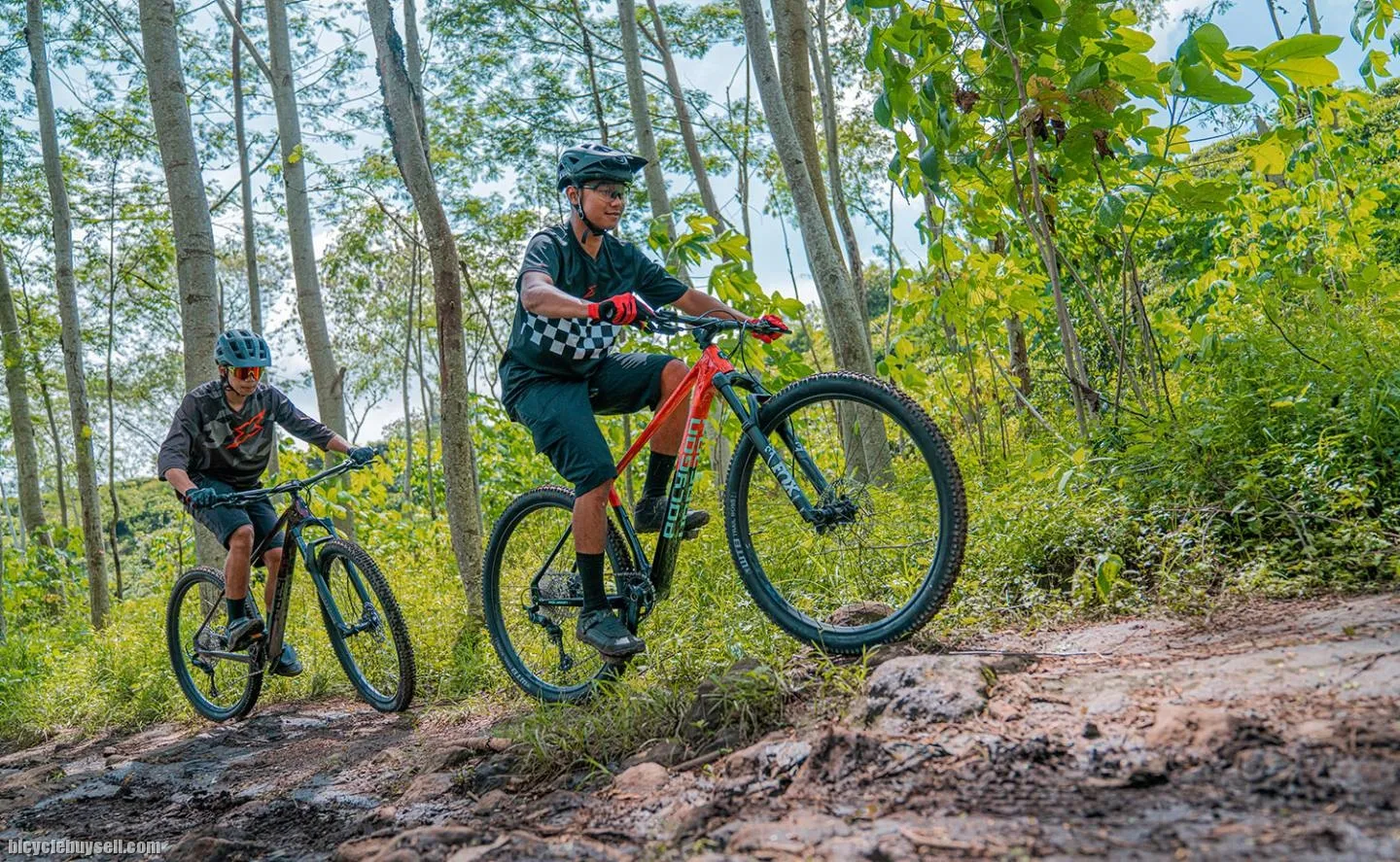 2022 Polygon Syncline C5 - Carbon XC Mountain Bike MTB bicycle 12 Speed Shimano SLX M7100 Fox Forks