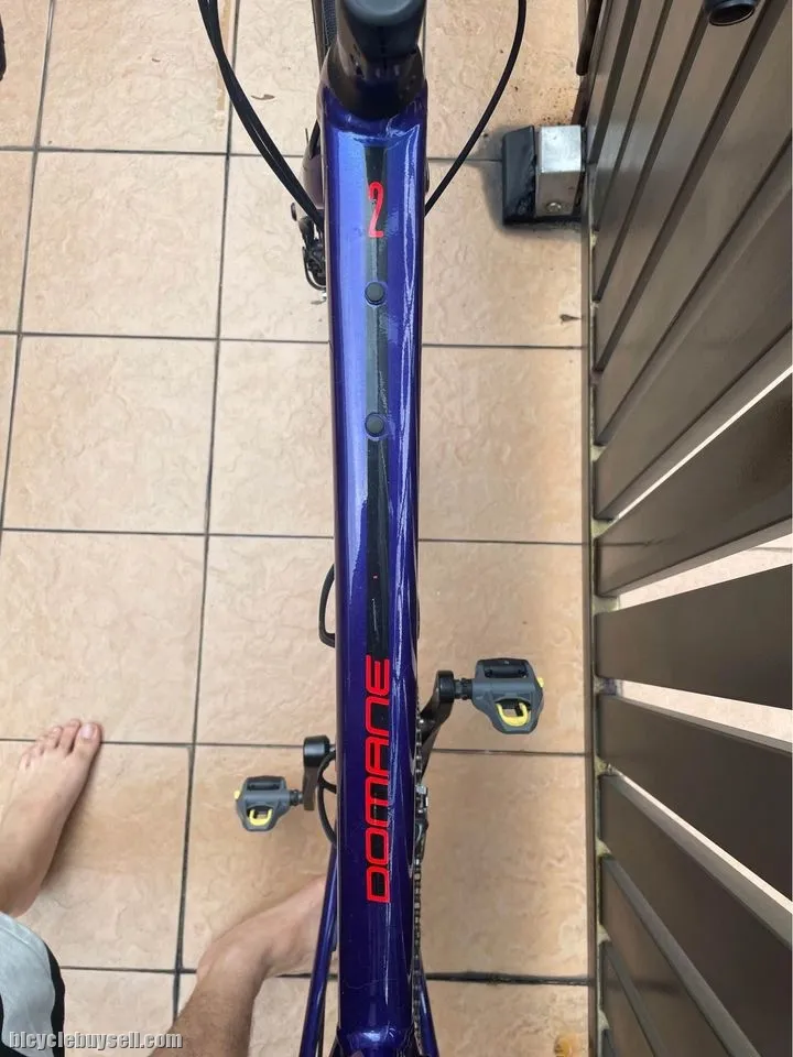Trek Domane AL2 Disc