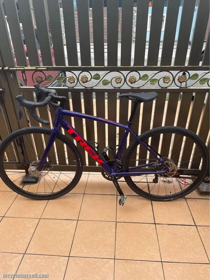 Trek Domane AL2 Disc