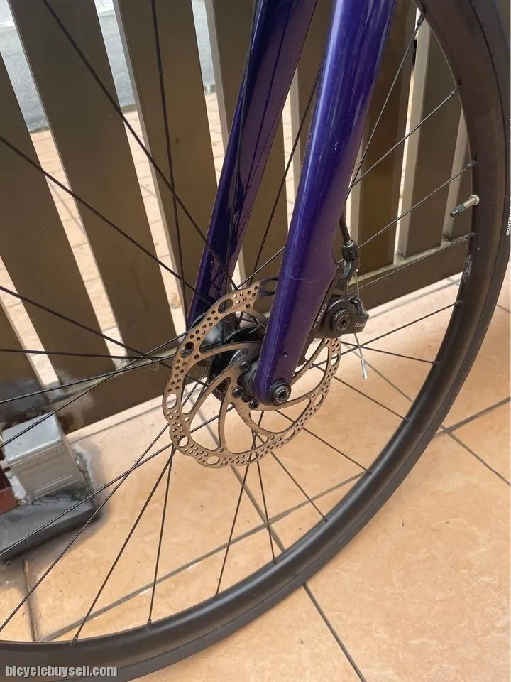 Trek Domane AL2 Disc