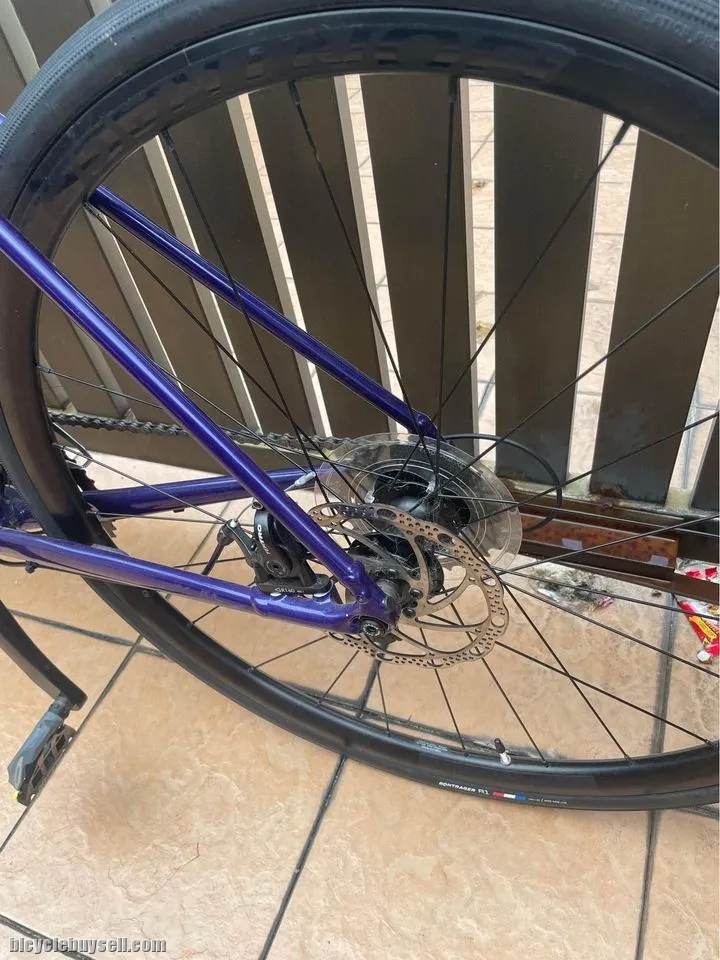 Trek Domane AL2 Disc