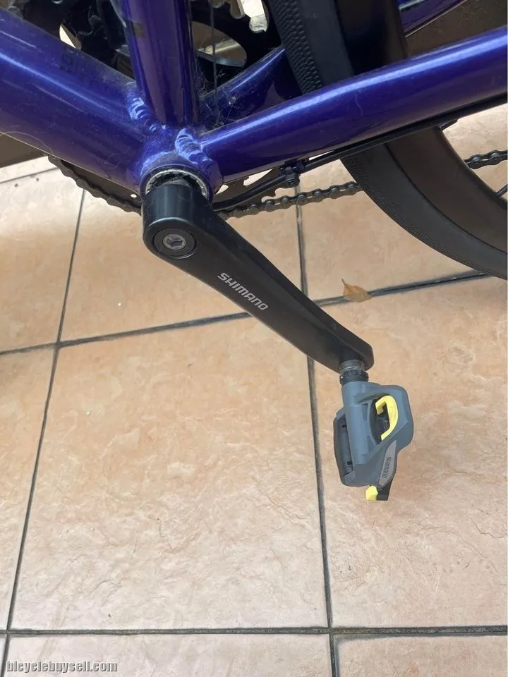 Trek Domane AL2 Disc