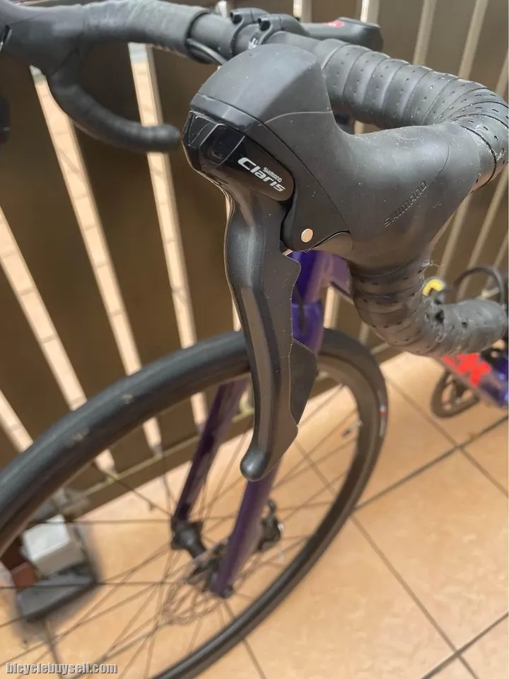 Trek Domane AL2 Disc
