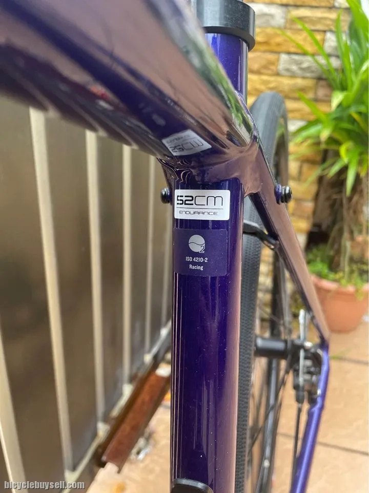 Trek Domane AL2 Disc