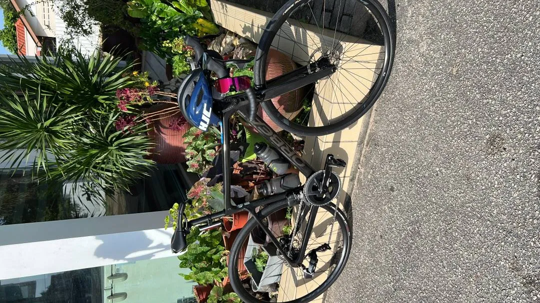 Orbea orca