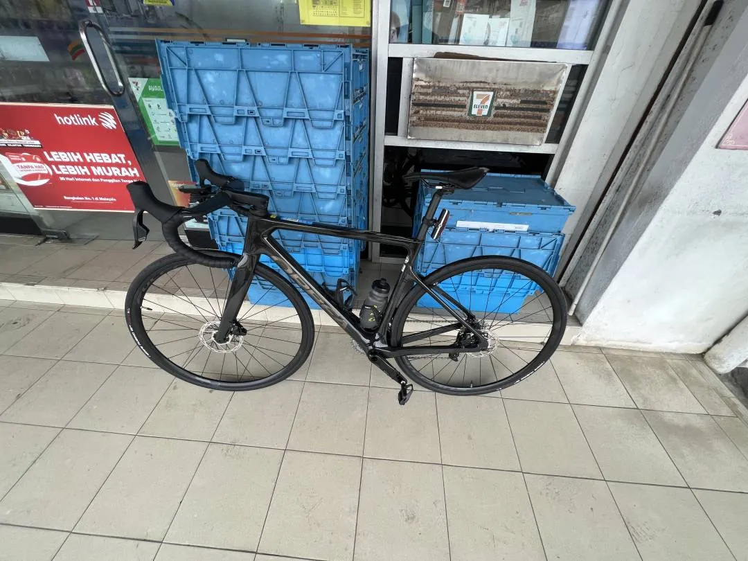 Orbea orca