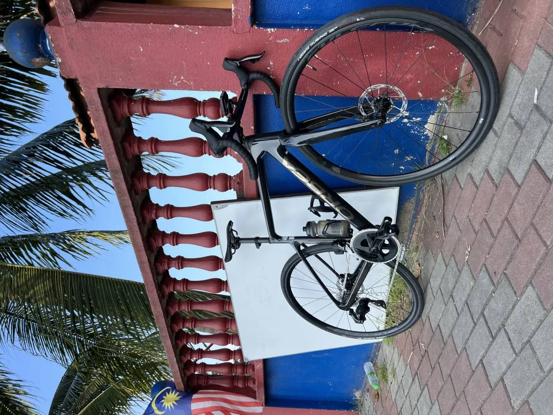 Orbea orca