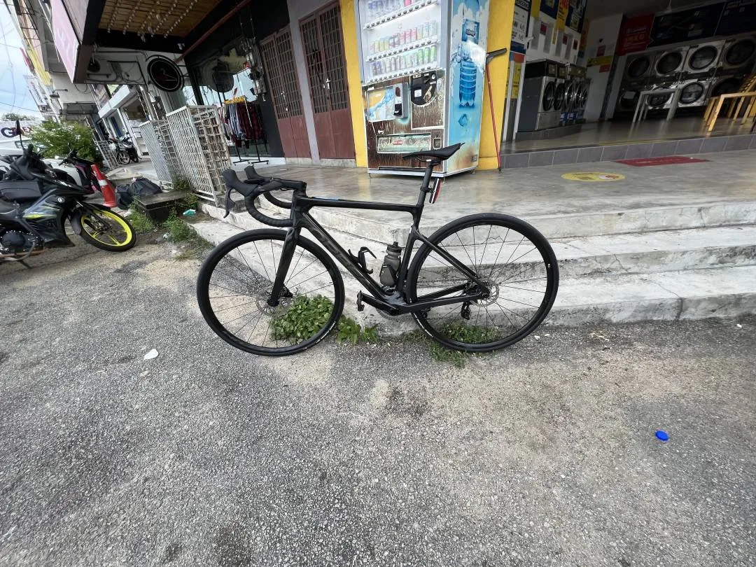 Orbea orca