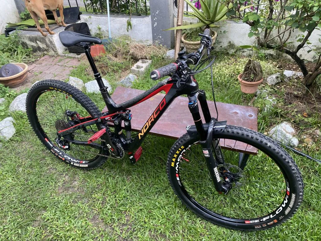 Norco Sight Carbon LE