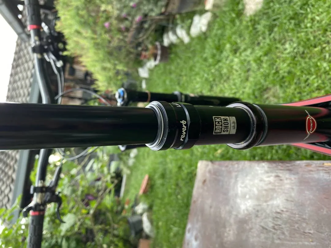 Norco Sight Carbon LE