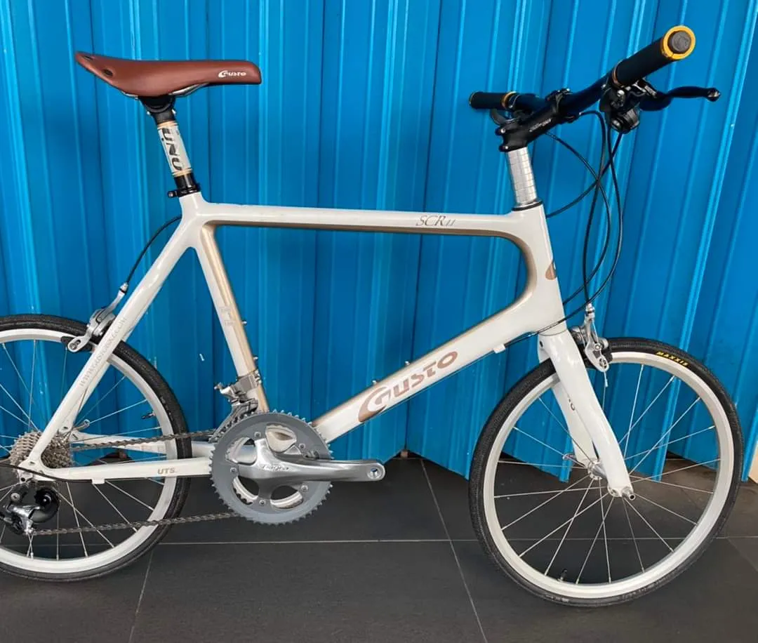 Gusto SCR 1.1 Minivelo Carbon Bike