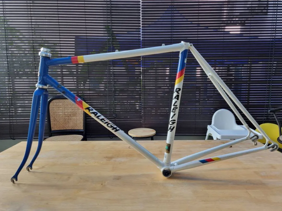 Raleigh Team Panasonic