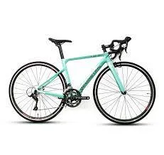 GEOMETRIC CR5 LITE ROAD BIKE FOR SALE