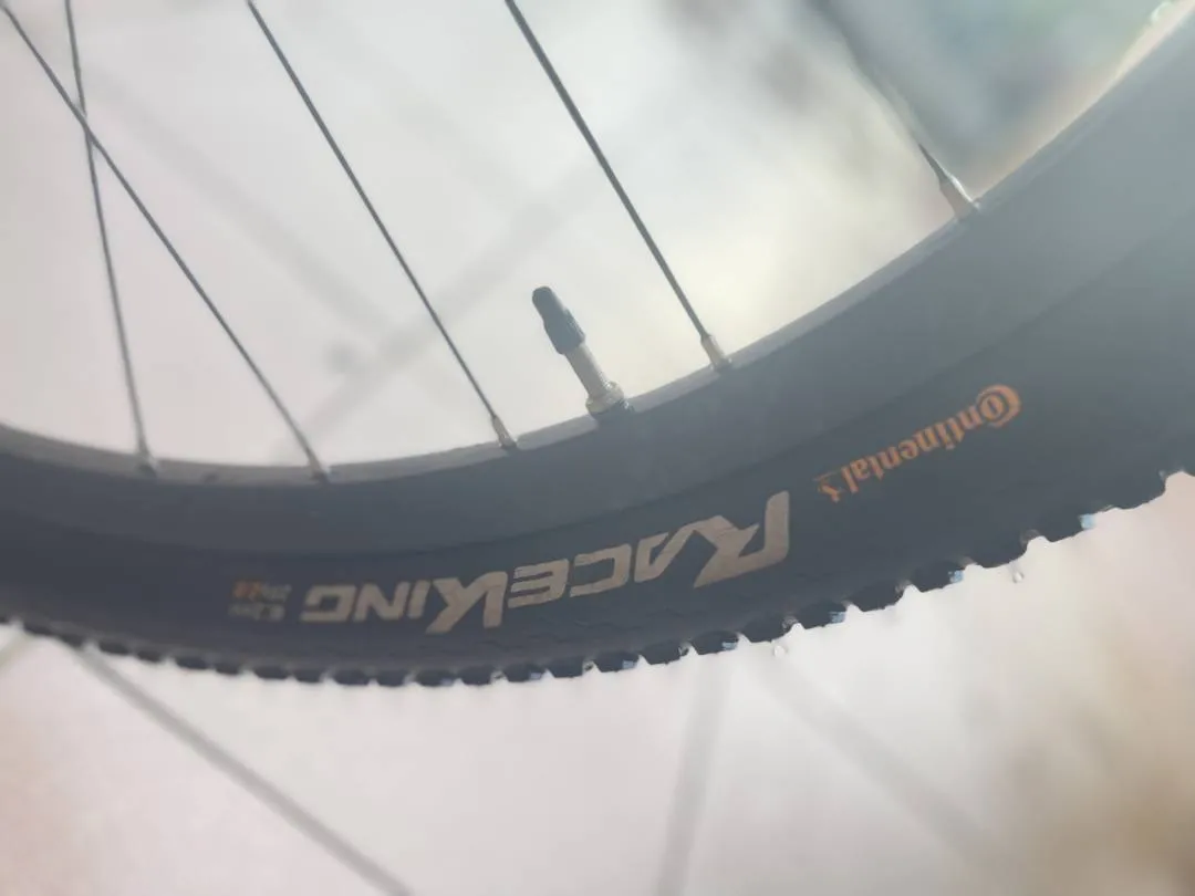 29â€ MTB RALEIGH RACE CARBON (1x12 SPEED)