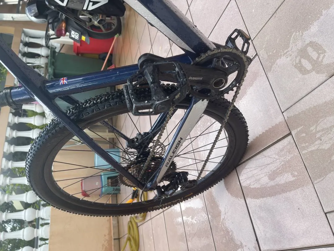 29â€ MTB RALEIGH RACE CARBON (1x12 SPEED)