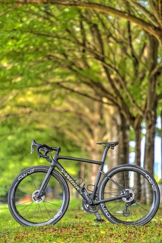 S-Works Tarmac SL6 Frameset (disc brake) with Alpinist Cockpit Handlebar