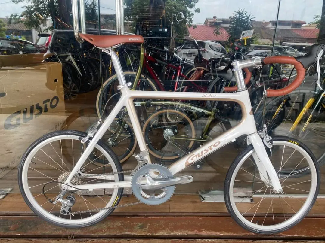 Gusto_SCR1.1 Bike