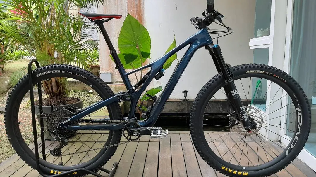 Specialized Stumpjumper Expert Carbon 29
